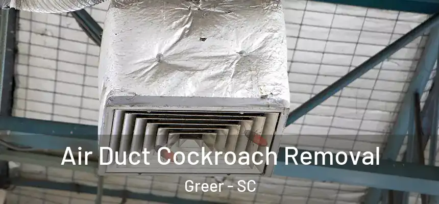 Air Duct Cockroach Removal Greer - SC