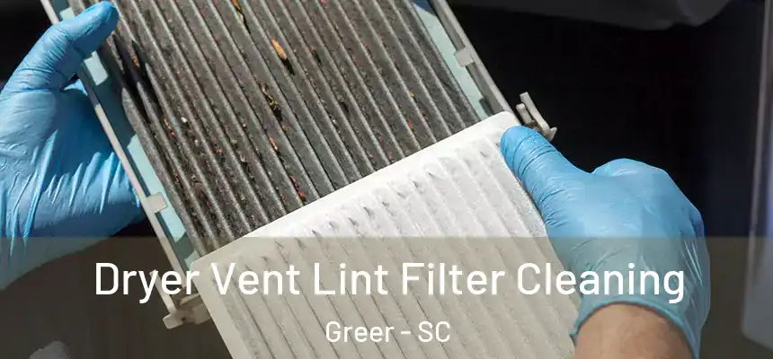  Dryer Vent Lint Filter Cleaning Greer - SC