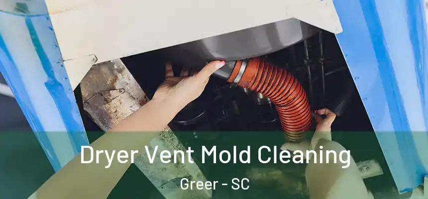  Dryer Vent Mold Cleaning Greer - SC