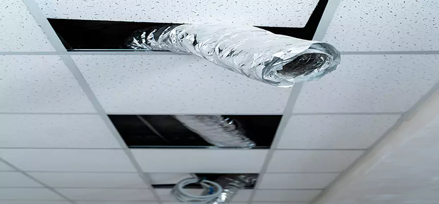 Affordable HVAC Sanitizing After Pest Removal in Greer