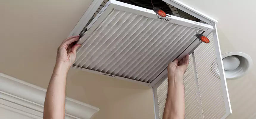 Our Insect Removal from Air Ducts Services in Greer, SC
