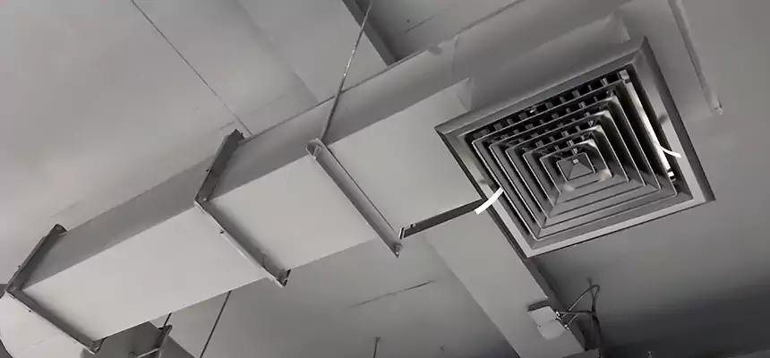 Our Pest Removal From Ducts Services in Greer, SC