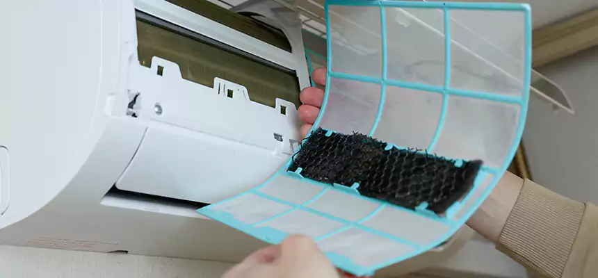 Gentle Ductwork Odor-Control Pet Dander Duct Cleaning in Greer, SC