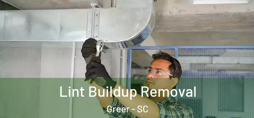Lint Buildup Removal Greer - SC