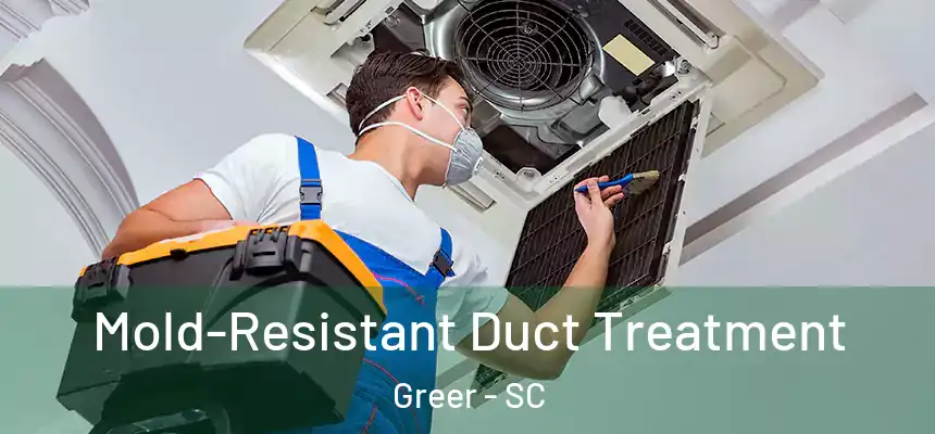  Mold-Resistant Duct Treatment Greer - SC