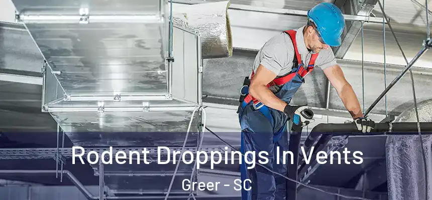  Rodent Droppings In Vents Greer - SC