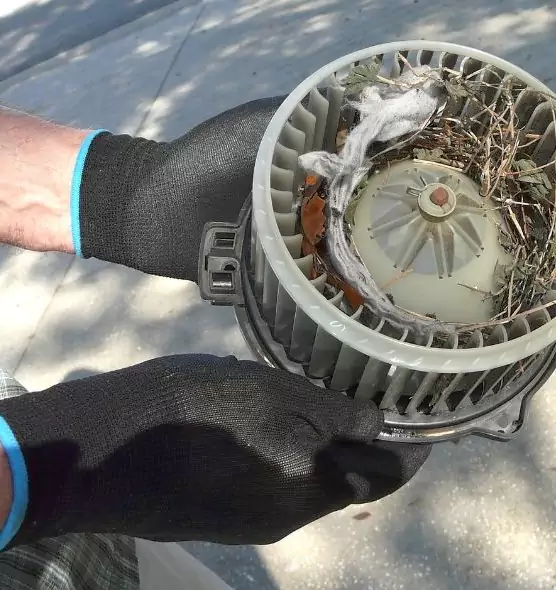 About Air Duct Mice Removal in Greer, SC