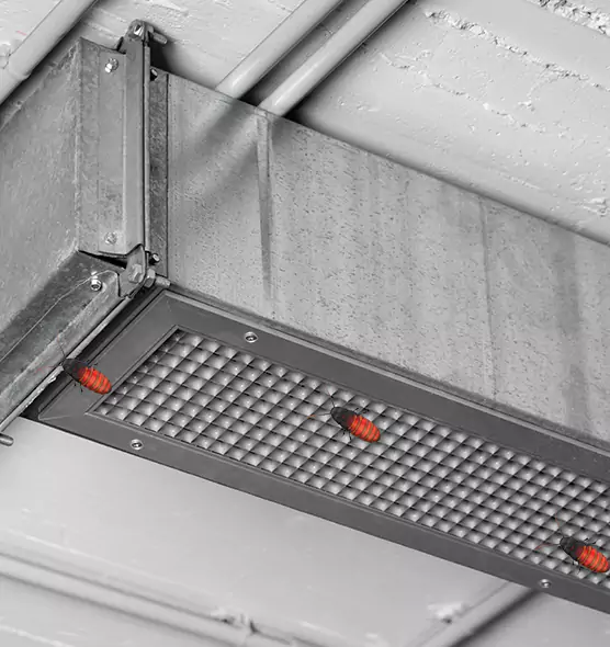Affordable Insect Removal from Air Ducts in Greer, SC
