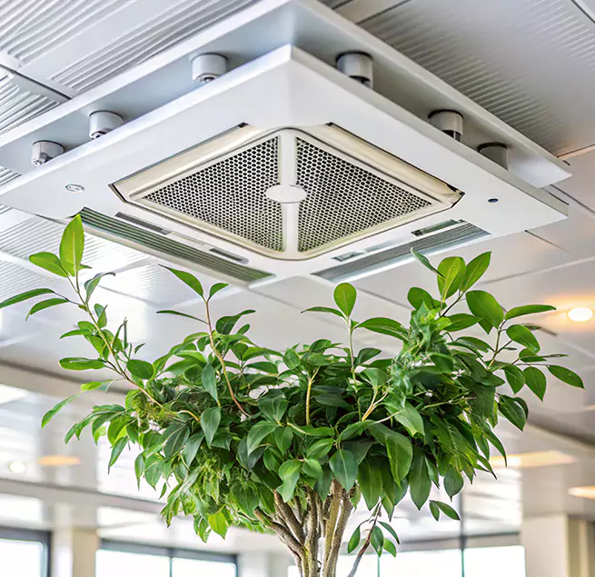 Why Homeowners & Businesses Trust Us in Greer, SC?