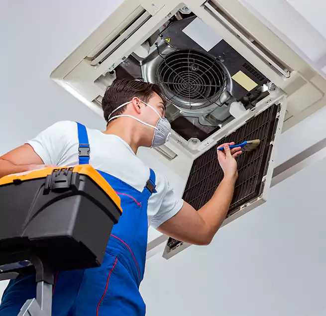 Why Homeowners & Businesses Trust Us in Greer, SC?