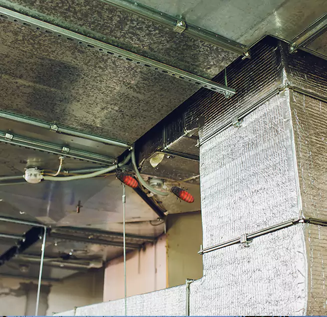 Why Homeowners & Businesses Trust Us Greer, SC?