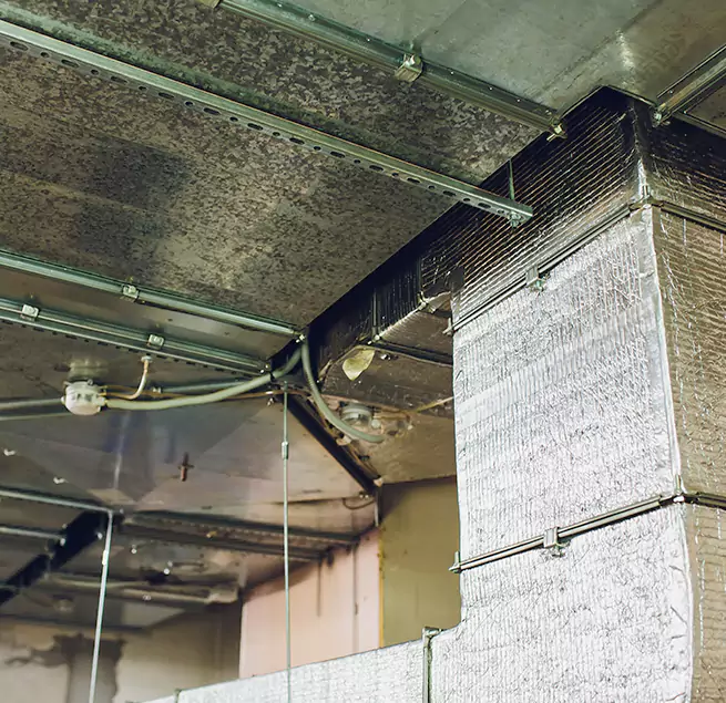 Why Homeowners & Businesses Trust Us in Greer, SC?