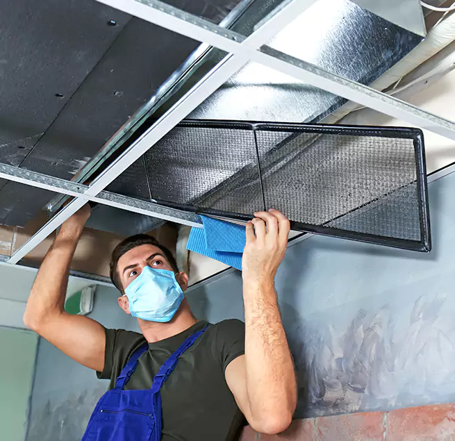 Why Homeowners & Businesses Trust Us in Greer, SC?